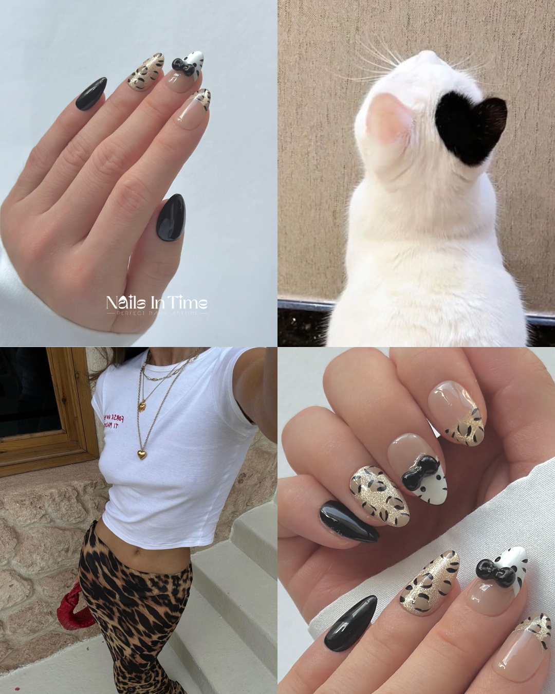 Wild Kitty